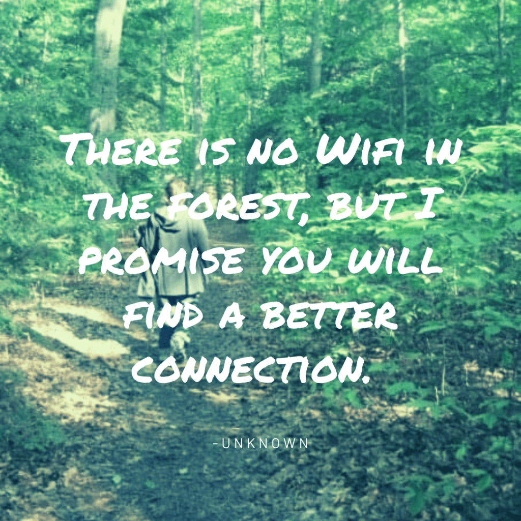 Quote over the image of a person walking down a lush forest. The quote says "there is no wifi in the forest, but i promise you will find a better connection." You can find that connection at Camp Therapyology. The day camp for teens, kids, and young adults in Michigan to provide social connection and emotional support during lockdown. Join us between December 14th and December 30th on Mondays and Wednesdays. This is both an online camp, and in person day camp.