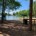A sunny campground with a lake in the background. This could represent Camp Therapyology, the summer camp for teens in West Bloomfield, MI. Contact us to learn how summer programs for teens can help your teen!